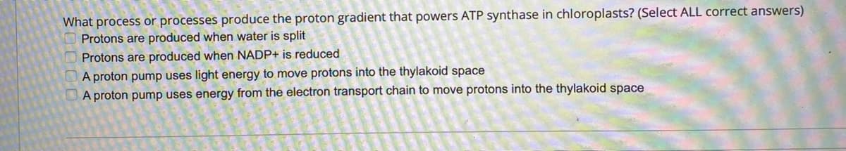 What process or processes produce the proton gradient that powers ATP synthase in chloroplasts? (Select ALL correct answers)
Protons are produced when water is split
Protons are produced when NADP+ is reduced
A proton pump uses light energy to move protons into the thylakoid space
A proton pump uses energy from the electron transport chain to move protons into the thylakoid space
