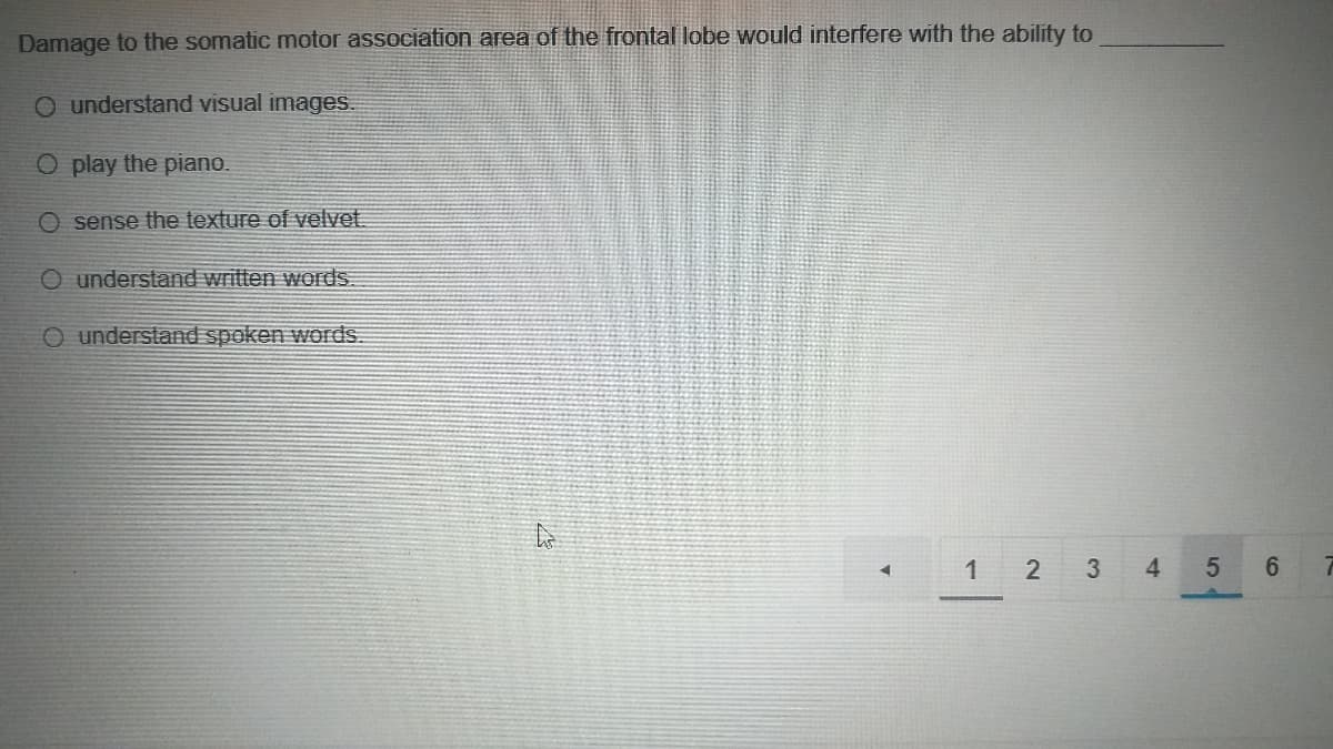 Damage to the somatic motor association area of the frontal lobe would interfere with the ability to
O understand visual images.
O play the piano.
sense the texture of velvet.
O understand written words.
O understand spoken words.
1 2 3
4
6.
