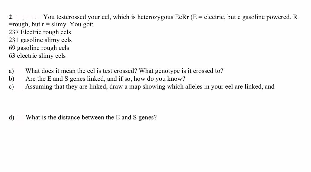 2.
You testcrossed your eel, which is heterozygous EeRr (E = electric, but e gasoline powered. R
=rough, but r = slimy. You got:
237 Electric rough eels
231 gasoline slimy eels
69 gasoline rough eels
63 electric slimy eels
а)
b)
Are the E and S genes linked, and if so, how do you know?
Assuming that they are linked, draw a map showing which alleles in your eel are linked, and
с)
What does it mean the eel is test crossed? What genotype is it crossed to?
d)
What is the distance between the E and S genes?
