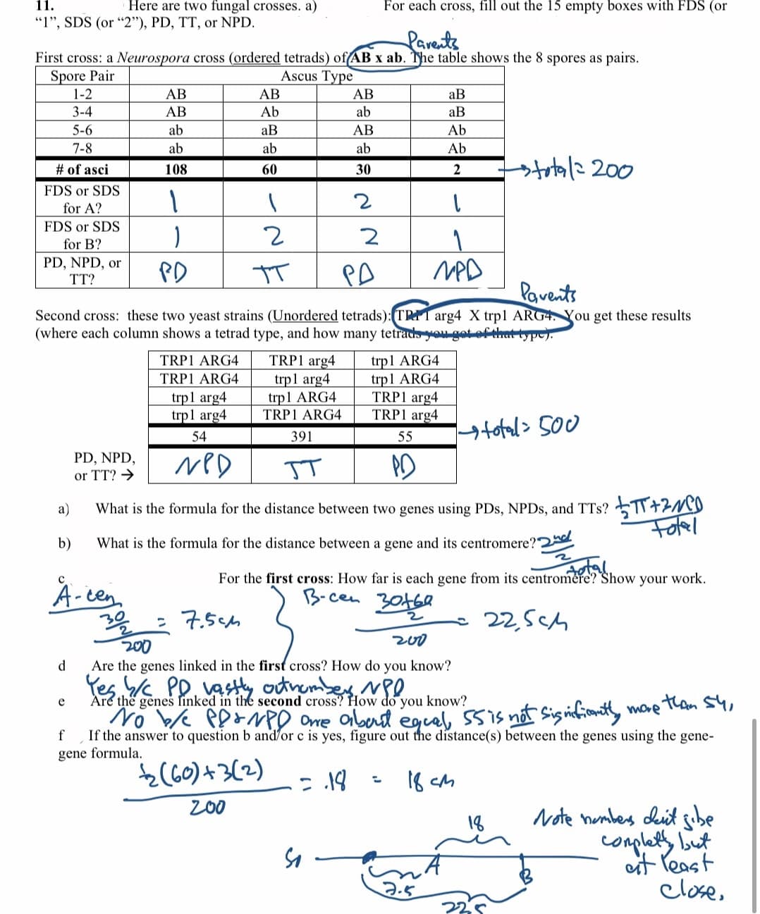 11.
Here are two fungal crosses. a)
For each cross, fill out the 15 empty boxes with FDS (or
"I", SDS (or "2"), PD, TT, or NPD.
Parents
First cross: a Neurospora cross (ordered tetrads) of AB x ab. The table shows the 8 spores as pairs.
Spore Pair
1-2
Ascus Type
AB
АВ
AB
aB
3-4
AB
Ab
ab
aB
AB
ab
5-6
ab
aB
Ab
7-8
ab
ab
Ab
# of asci
108
60
30
2
FDS or SDS
2
for A?
FDS or SDS
for B?
PD, NPD, or
PD
PA
MPD
TT?
Pavents
Second cross: these two yeast strains (Unordered tetrads):(TRI arg4 X trp1 ARG4. You get these results
(where each column shows a tetrad type, and how many tetrac you got of that type).
TRP1 arg4
trp1 arg4
trp1 ARG4
trp1 ARG4
TRP1 arg4
TRP1 arg4
TRP1 ARG4
TRP1 ARG4
trp1 arg4
trpl arg4
trp1 ARG4
TRP1 ARG4
→total> 500
PD
54
391
55
PD, NPD,
or TT? →
IT
What is the formula for the distance between two genes using PDs, NPDS, and TTs? 5TT+2M)
Folel
а)
b)
What is the formula for the distance between a gene and its centromere?.
For the first cross: How far is each gene from its centromere? Show your work.
A-cen
B-cen 30469
= 7.5ch
22,Sch
200
Are the genes linked in the first cross? How do you know?
Yes, PD vasty outrembes NPO
d
e
Are thế genes linked in the second cross? How do you know?
No k PP+NPD ome obert eguel, S5is not sigifcontly mare Than
If the answer to question b and/or c is yes, figure out the distance(s) between the genes using the gene-
gene formula.
f
2 (60)+3(2)
200
18
Note hombes ditbe
complety but
it Veast
close,
2.
