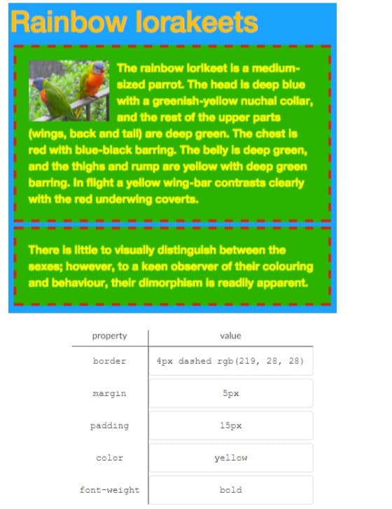 Rainbow lorakeets
The rainbow lorikeet is a medium-
sized parrot. The head is deep blue
with a greenish-yellow nuchal collar,
and the rest of the upper parts
(wings, back and tall) are deep green. The chest is
red with blue-black barring. The belly is deep green,
and the thighs and rump are yellow with deep green
barring. In flight a yellow wing-bar contrasts clearty
with the red underwing coverts.
There is little to visually distingulsh between the
sexes; however, to a keen observer of their colouring
and behaviour, their dimorphism is readily apparent.
property
value
border
4px dashed rgb (219, 28, 28)
margin
5px
padding
15px
color
yellow
font-weight
bold
