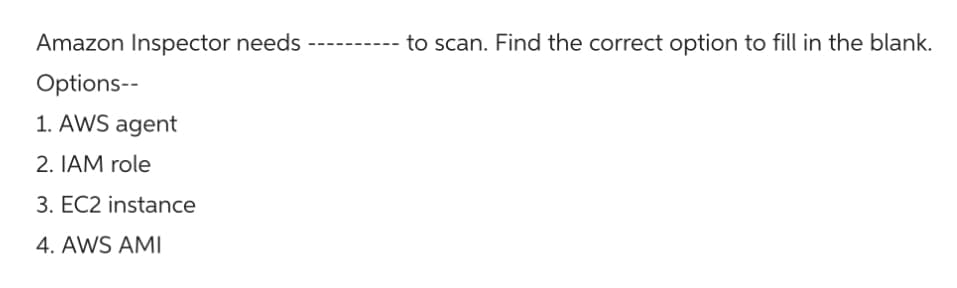 Amazon Inspector needs ---------- to scan. Find the correct option to fill in the blank.
Options--
1. AWS agent
2. IAM role
3. EC2 instance
4. AWS AMI