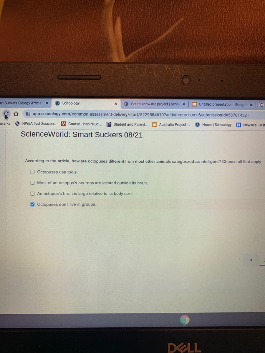 art Suckers Biology Article x
9 Schoology
S Get to know me project | Scho x
O Untitled presentation - Google x
b app.schoology.com/common-assessment-delivery/start/5229584619?action=onresume&submissionId%3D587014521
marks
O NWEA Test Session.
M Course - Inspire Sci.
P Student and Parent.
Australia Project
Home | Schoology
I Newsela | Inst
ScienceWorld: Smart Suckers 08/21
According to the article, how are octopuses different from most other animals categorized as intelligent? Choose all that apply.
O Octopuses use tools.
O Most of an octopus's neurons are located outside its brain,
O An octopus's brain is large relative to its body size.
V Octopuses don't live in groups.
DELL
