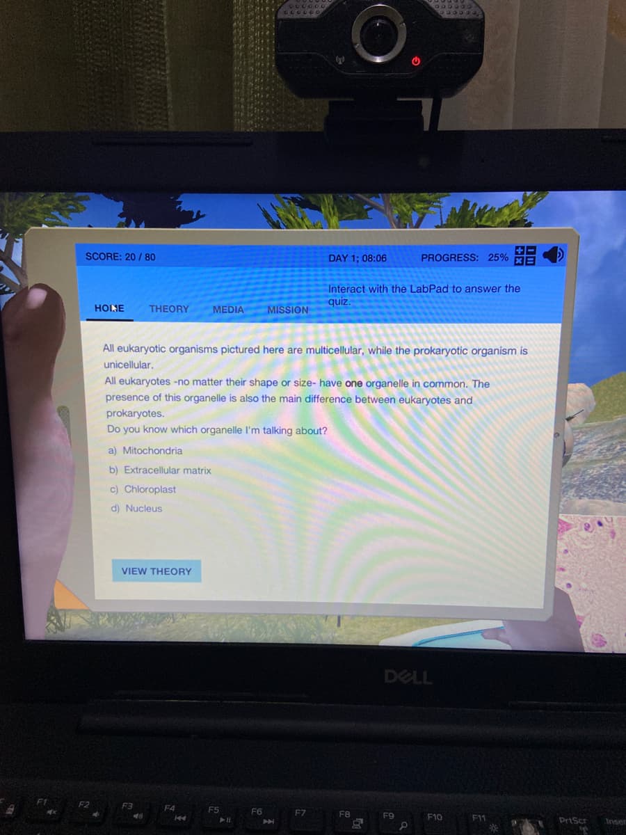 600
33399O
69000
SCORE: 20 / 80
DAY 1; 08:06
PROGRESS: 25% HE
Interact with the LabPad to answer the
quiz.
HOINE
THEORY
MEDIA
MISSION
All eukaryotic organisms pictured here are multicellular, while the prokaryotic organism is
unicellular.
All eukaryotes -no matter their shape or size- have one organelle in common. The
presence of this organelle is also the main difference between eukaryotes and
prokaryotes.
Do you know which organelle l'm talking about?
a) Mitochondria
b) Extracellular matrix
c) Chloroplast
d) Nucleus
VIEW THEORY
DELL
FT F2
F3 F4
F5 F6
F7
F8
F9
F10
A
PrtScr
Inser
