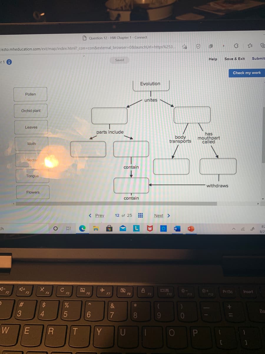 O Question 12 - HW Chapter 1- Connect
Jezto.mheducation.com/ext/map/index.html?_con=con&external_browser%3D0&launchUrl=https%253.
Saved
Help
Save & Exit
Submit
-r 1 i
Check my work
Evolution
Pollen
unites
Orchid plant
Leaves
parts include
has
body
transpórts
mouthpart
called
Moth
Necta
contain
Tongue
withdraws
Flowers
contain
< Prev
12 of 25
Next >
8:2
ch
8/2
Cc
F5
F2
F3
F4
PrtSc
Insert
F6
F7
F8
F10
F11
F12
#3
$4
&
*
Ba
3
4
6
7
0
Y
* CO
