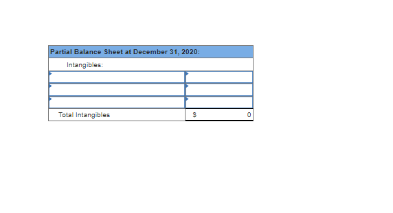 Partial Balance Sheet at December 31, 2020:
Intangibles:
Total Intangibles
$
0