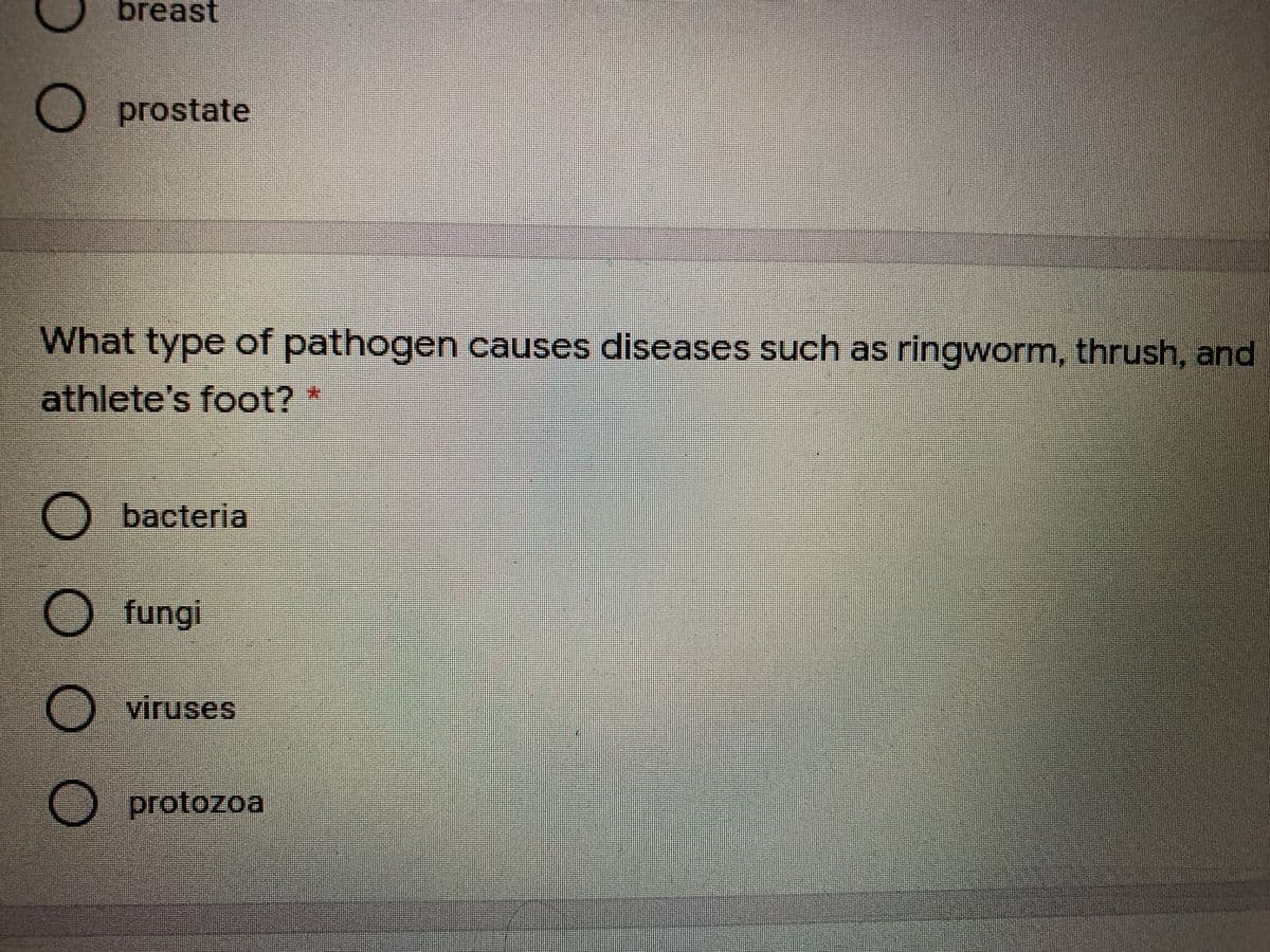 breast
O prostate
What type of pathogen causes diseases such as ringworm, thrush, and
athlete's foot?
O bacteria
O fungi
Viruses
protozoa
