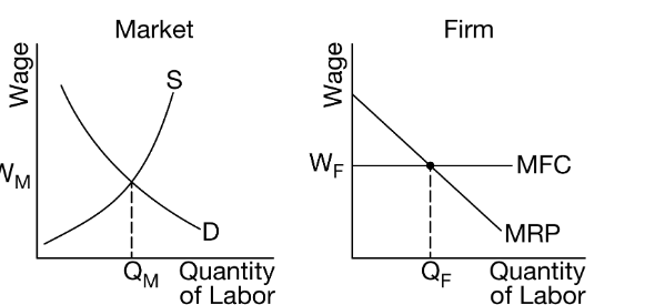 Wage
M
Market
S
D
QM Quantity
of Labor
Wage
WF
Firm
-MFC
MRP
Quantity
of Labor