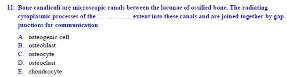 Bone canaliculi are microscopic canals between the lacunae of ossified bone. The radiating
cytoplasmic processes of the
junctions for communication
A. osteogenic cell
extent into these canals and are joined together by gap
B. osteoblast
C. osteocyte
D. osteoclast
E. chondrocyte
