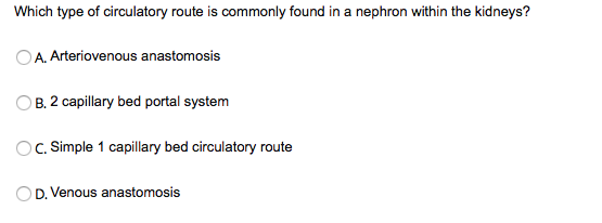 Which type of circulatory route is commonly found in a nephron within the kidneys?
A. Arteriovenous anastomosis
O B. 2 capillary bed portal system
C. Simple 1 capillary bed circulatory route
D. Venous anastomosis
