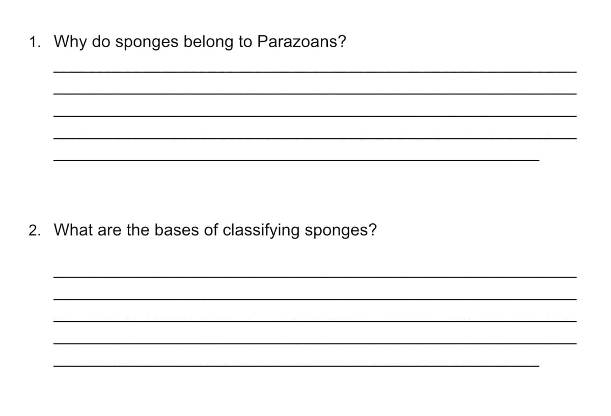 1. Why do sponges belong to Parazoans?
2. What are the bases of classifying sponges?
