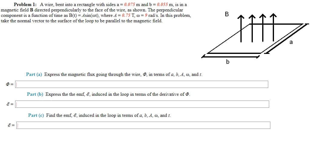 Problem 1: A wire, bent into a rectangle with sides a = 0.075 m and b = 0.055 m, is in a
magnetic field B directed perpendicularly to the face of the wire, as shown. The perpendicular
component is a function of time as B(t) = Asin(ot), where A = 0.75 T, o = 9 rad/s. In this problem,
take the normal vector to the surface of the loop to be parallel to the magnetic field.
В
a
b
Part (a) Express the magnetic flux going through the wire, , in terms of a, b, A, o, and t.
Part (b) Express the the emf, E, induced in the loop in terms of the derivative of Ø.
Part (c) Find the emf, E, induced in the loop in terms of a, b, A, o, and t.
