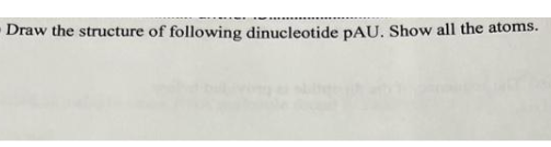 Draw the structure of following dinucleotide pAU. Show all the atoms.