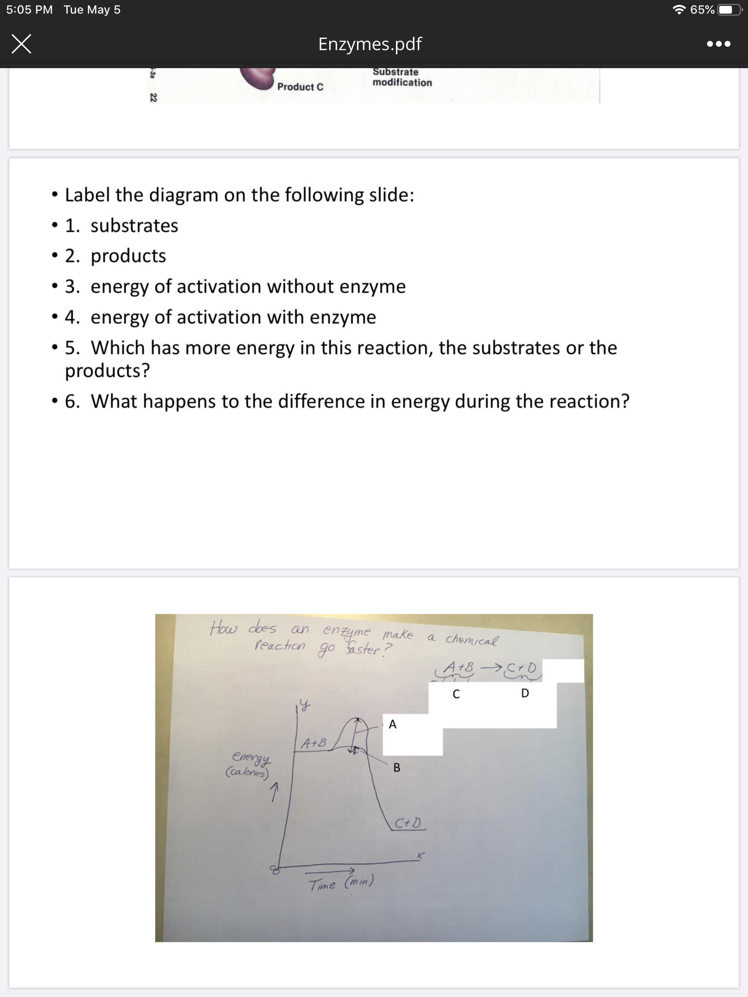 5:05 PM Tue May 5
全65%
Enzymes.pdf
Substrate
modification
Product C
Label the diagram on the following slide:
• 1. substrates
• 2. products
3. energy of activation without enzyme
• 4. energy of activation with enzyme
• 5. Which has more energy in this reaction, the substrates or the
products?
• 6. What happens to the difference in energy during the reaction?
How does an enzyme make
reaction go aster?
a chemical
D
A+B
energy
(calories)
C+D
Time (min)
3a
22
