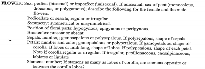FLOWER: Sex: perfect (bisexual) or imperfect (unisexual). If unisexual: sex of pant (monoecious,
dioecious, or polygamous); describe the following for the female and the male
flowers.
Pedicellate or sessile; regular or irregular.
Symmetry: symmetrical or unsymmetrical.
Position of floral parts: hypogynous, epigynous or perigynous.
Bracteoles: present or absent.
Sepals: number,; gamosepalous or polysepalous. If polysepalous, shape of sepals.
Petals: number and color; gamopetalous or polypetalous. If gamopetalous, shape of
corolla. If lobes or limb long, shape of lobes. If polypetalous, shape of each petal.
Note if corolla regular or irregular. If irregular, papilionaceous, caesalpinaceous,
labiates or ligulate
Stamens: number; If stamens as many as lobes of corolla, are stamens opposite or
between the corolla lobes?
