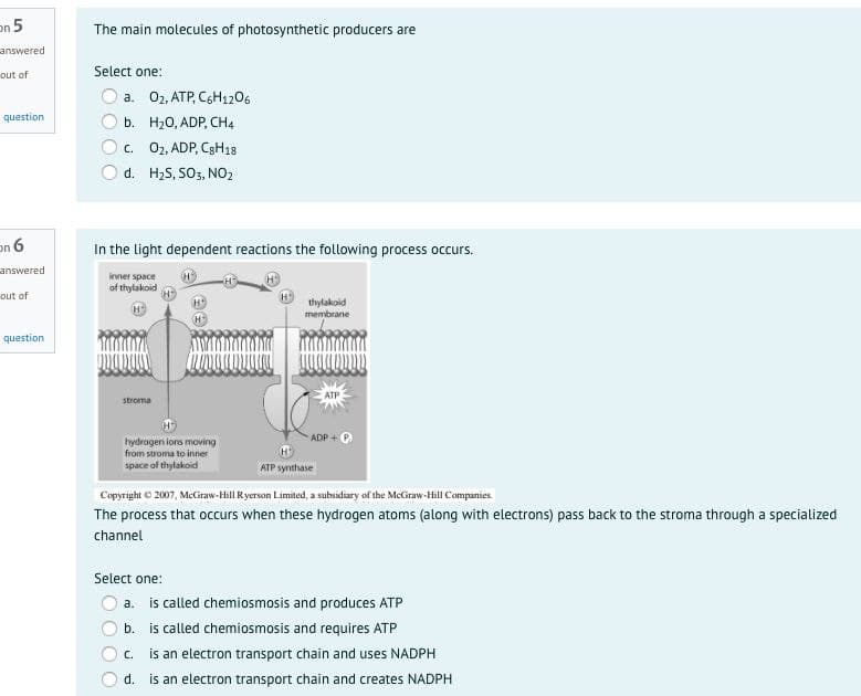 on 5
The main molecules of photosynthetic producers are
answered
out of
Select one:
O a. 02, ATP, C6H1206
question
b. H20, ADP, CH4
c. 02, ADP, C3H18
d. H2S, SO3, NO2
on 6
In the light dependent reactions the following process occurs.
answered
inner space
of thylakoid
out of
thylakoid
membrane
question
АТР
stroma
ADP +
hydrogen iors moving
from stroma to inner
space of thylakoid
ATP synthase
Copyright © 2007, MeGraw-Hill Ryerson Limited, a subsidiary of the MeGraw-Hill Companies
The process that occurs when these hydrogen atoms (along with electrons) pass back to the stroma through a specialized
channel
Select one:
a. is called chemiosmosis and produces ATP
b. is called chemiosmosis and requires ATP
is an electron transport chain and uses NADPH
d. is an electron transport chain and creates NADPH
C.
