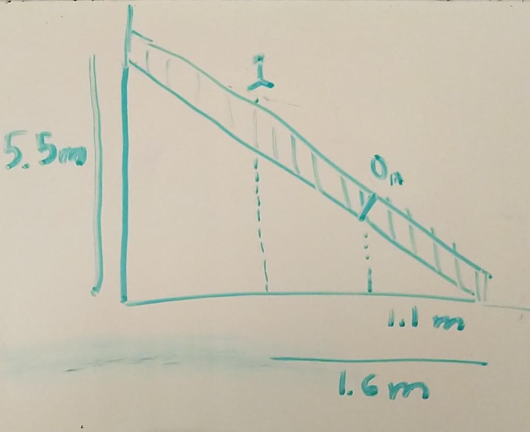 5.5mg
1.6 m
