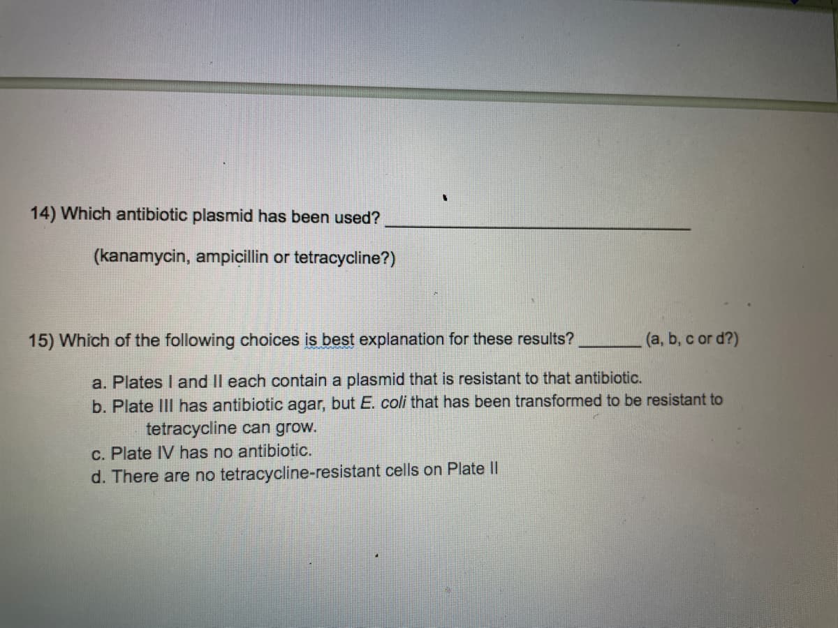 14) Which antibiotic plasmid has been used?
(kanamycin, ampicillin or tetracycline?)
15) Which of the following choices is best explanation for these results?
(a, b, c or d?)
a. Plates I and II each contain a plasmid that is resistant to that antibiotic.
b. Plate III has antibiotic agar, but E. coli that has been transformed to be resistant to
tetracycline can grow.
c. Plate IV has no antibiotic.
d. There are no tetracycline-resistant cells on Plate II
