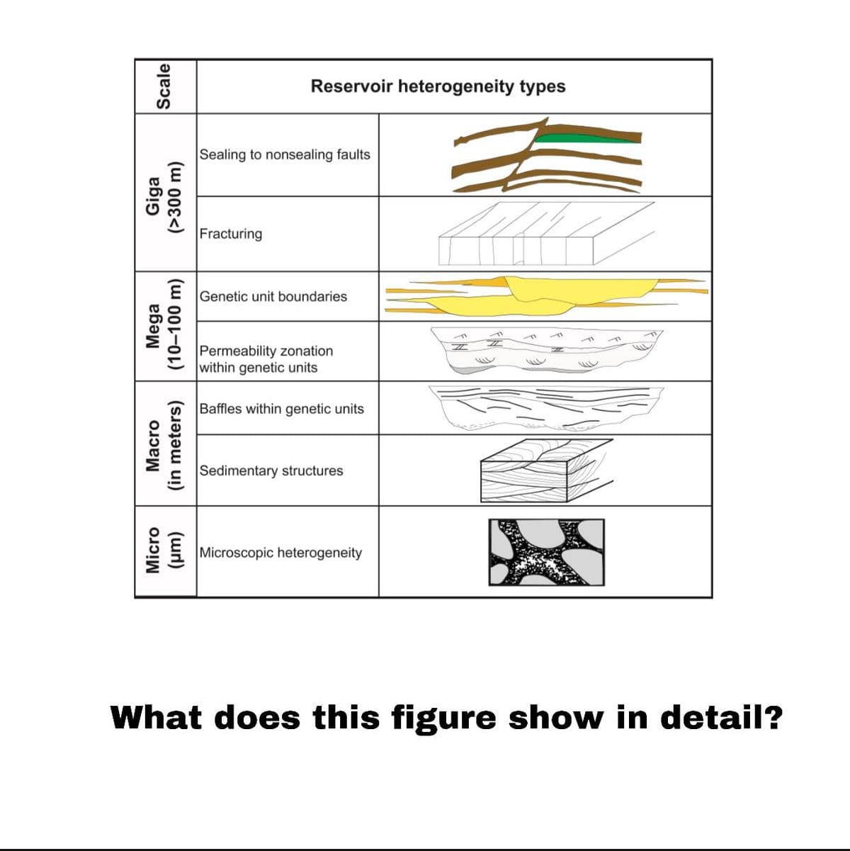 Reservoir heterogeneity types
Sealing to nonsealing faults
台
Fracturing
Genetic unit boundaries
Permeability zonation
within genetic units
Baffles within genetic units
Sedimentary structures
Microscopic heterogeneity
What does this figure show in detail?
Mega
(10–100 m)
Giga
(>300 m)
Micro
Macro
Scale
(url)
(in meters)
