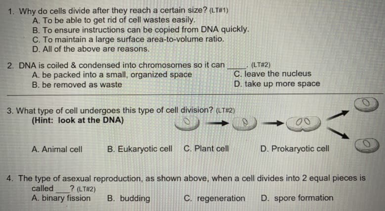 1. Why do cells divide after they reach a certain size? (LT#1)
A. To be able to get rid of cell wastes easily.
B. To ensure instructions can be copied from DNA quickly.
C. To maintain a large surface area-to-volume ratio.
D. All of the above are reasons.
2. DNA is coiled & condensed into chromosomes so it can
A. be packed into a small, organized space
B. be removed as waste
(LT#2)
C. leave the nucleus
D. take up more space
3. What type of cell undergoes this type of cell division? (LT#2)
(Hint: look at the DNA)
A. Animal cell
B. Eukaryotic cell C. Plant cell
D. Prokaryotic cell
4. The type of asexual reproduction, as shown above, when a cell divides into 2 equal pieces is
called
? (LT#2)
A. binary fission
B. budding
C. regeneration
D. spore formation
