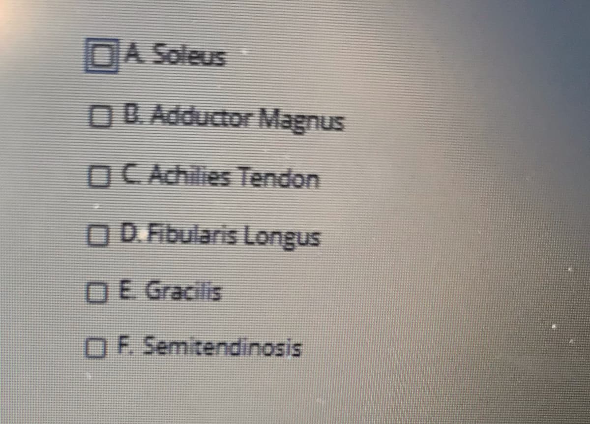 DA Soleus
OD. Adductor Magnus
OC Achilies Tendon
OD.Fibularis Longus
OE Gracilis
OF Semitendinosis
