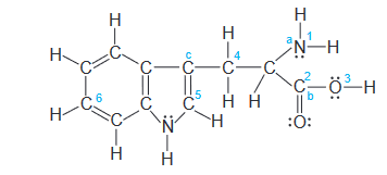 H
H
N-H
14
C-C
H-
C-öH
.5
нн
H-
:0:
H
H
H-Z:
エー-
