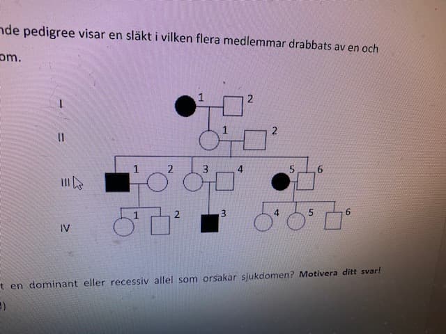 nde pedigree visar en släkt i vilken flera medlemmar drabbats av en och
om.
1
2
3.
3
4
6.
IV
t en dominant eller recessiv allel som orsakar sjukdomen? Motivera ditt svar!
