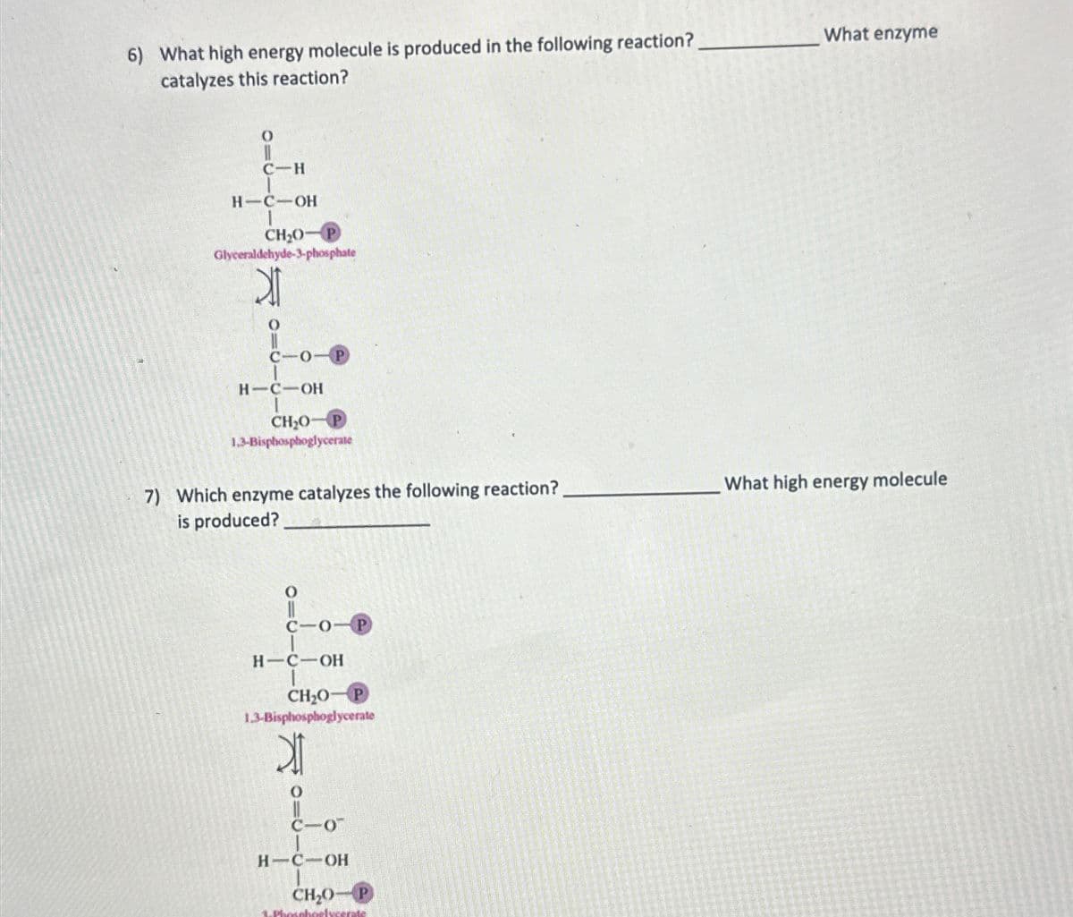 6) What high energy molecule is produced in the following reaction?
catalyzes this reaction?
0
C-H
H-C-OH
CH₂O-P
Glyceraldehyde-3-phosphate
X
H-C-OH
CH₂O-P
1.3-Bisphosphoglycerate
7) Which enzyme catalyzes the following reaction?
is produced?
C-O-P
H-C-OH
CH₂O-P
1.3-Bisphosphoglycerate
C-O
H-C-OH
CH,O. P
1.Phosphoelycerate
What enzyme
What high energy molecule