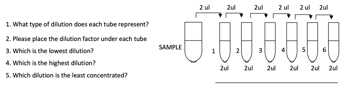 1. What type of dilution does each tube represent?
2. Please place the dilution factor under each tube
3. Which is the lowest dilution?
4. Which is the highest dilution?
5. Which dilution is the least concentrated?
SAMPLE
2 ul
1
2ul
0000
2
3
4
2ul
2ul
2 ul 2 ul
5
2ul
6
2ul 2ul 2ul 2ul 2ul