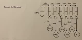 Calculate the CFU per ml
imi
-0.00.000
IH
imi
SAMPLE
1mi
Conf.
TNTC
TNTC
400
35
1ml