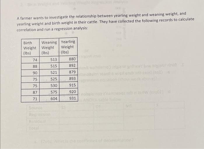 A farmer wants to investigate the relationship between yearling weight and weaning weight, and
yearling weight and birth weight in their cattle. They have collected the following records to calculate
correlation and run a regression analysis:
Weaning Yearling
Weight
(Ibs)
Birth
Weight Weight
(Ibs)
(Ibs)
74
513
880
88
515
892
naito iralew gihcaY bs triawnie
90
521
879
75
525
893
75
530
915
920
noltslomoo s'names
VAONV
bSelow
87
575
71
604
931
Reg
Besidet
Total
on?
