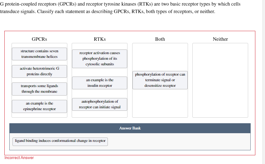 G protein-coupled receptors (GPCRs) and receptor tyrosine kinases (RTKs) are two basic receptor types by which cells
transduce signals. Classify each statement as describing GPCRs, RTKs, both types of receptors, or neither.
GPCRs
structure contains seven
transmembrane helices
activate heterotrimeric G
proteins directly
transports some ligands
through the membrane
an example is the
epinephrine receptor
RTKs
Both
receptor activation causes
phosphorylation of its
cytosolic subunits
phosphorylation of receptor can
an example is the
terminate signal or
insulin receptor
desensitize receptor
autophosphorylation of
receptor can initiate signal
ligand binding induces conformational change in receptor
Incorrect Answer
Answer Bank
Neither