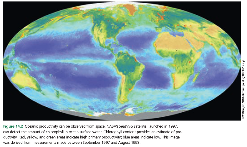 Figure 14.2 Oceanic productivity can be observed from space. NASAS SeaWiFS satellite, launched in 1997,
can detect the amount of chlorophyll in ocean surface water. Chlorophyll content provides an estimate of pro-
ductivity. Red, yellow, and green areas indicate high primary productivity; blue areas indicate low. This image
was derived from measurements made between September 1997 and August 1998.
SeaWFSProject, NASA/Goddard Space FlightCenter/GecEye
