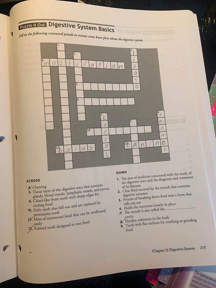 Fill in the following crossword puzzle to review some basic facts about the digestive system.
Puzzle It Out
Digestive System Basicsto znago
1
3
4
nalsitl Icla
e
10
a
m.
C
11
a
DOWN
1. The area of medicine concerned with the study of
the digestive tract and the diagnosis and treatment
of its diseases
2. Clear fluid secreted by the mouth that contains
digestive enzymes
3. Process of breaking down food into a form that
çells can use
4. Holds the intestines loosely in place
7. The mouth is also called the
cavity.
8. Hardest substance in the body
9. Teeth with flat surfaces for crushing or grinding
food
ACROSS
A. Chewing
5. Tissue layer of the digestive tract that contains
glands, blood vessels, lymphatic vessels, and nerves
6. Chisel-like front teeth with sharp edges for
cutting food
10. Early teeth that fall out and are replaced by
permanent teeth
W. Mass of moistened food that can be swallowed
easily
12. Pointed teeth designed to tear food
275
Chapter 21 Digestive System
The submandibula
empties into the mo
either side of the
frenul
