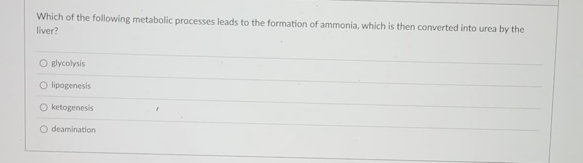 Which of the following metabolic processes leads to the formation of ammonia, which is then converted into urea by the
liver?
O glycolysis
O lipogenesis
O ketogenesis
O deamination
