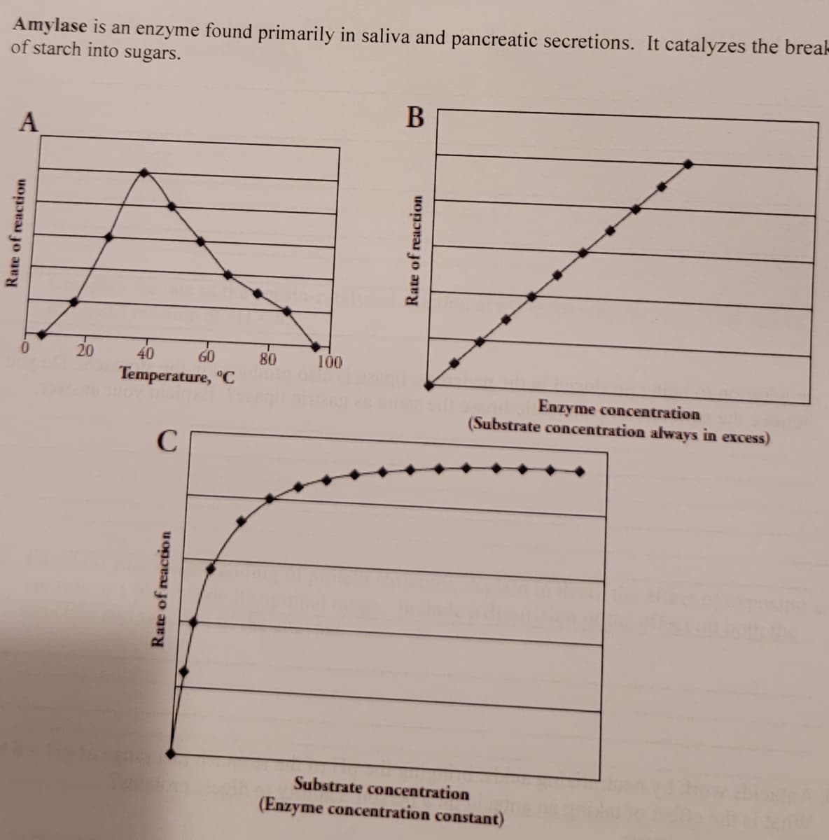 Amylase is an enzyme found primarily in saliva and pancreatic secretions. It catalyzes the break-
of starch into sugars.
A
Rate of reaction
-0
20
60
40
Temperature, C
C
Rate of reaction
80
100
B
Rate of reaction
Enzyme concentration
(Substrate concentration always in excess)
Substrate concentration
(Enzyme concentration constant)
2