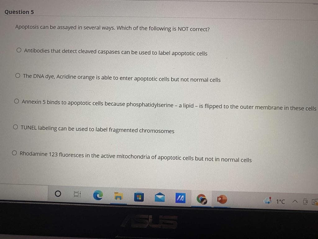 Question 5
Apoptosis can be assayed in several ways. Which of the following is NOT correct?
O Antibodies that detect cleaved caspases can be used to label apoptotic cells
O The DNA dye, Acridine orange is able to enter apoptotic cells but not normal cells
O Annexin 5 binds to apoptotic cells because phosphatidylserine - a lipid - is flipped to the outer membrane in these cells
O TUNEL labeling can be used to label fragmented chromosomes
O Rhodamine 123 fluoresces in the active mitochondria of apoptotic cells but not in normal cells
IA
* 1°C
