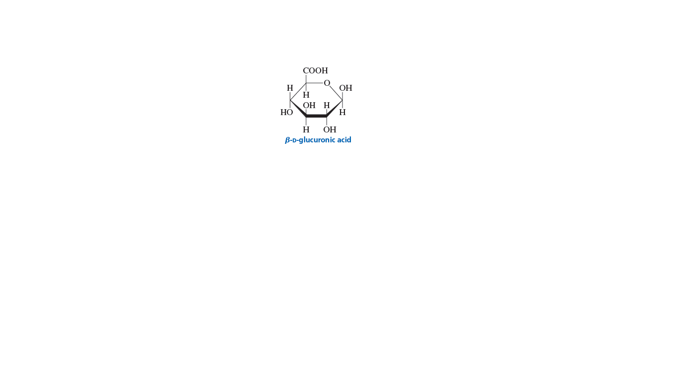 СООН
H
H
OH
OH
H
НО
ОН
B-D-glucuronic acid
