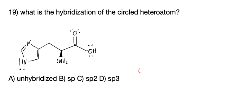 19) what is the hybridization of the circled heteroatom?
HO.
HN
:NH2
A) unhybridized B) sp C) sp2 D) sp3
