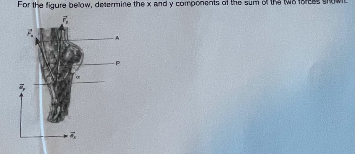 For the figure below, determine the x and y components of the sum of the two forces
