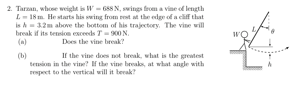 2. Tarzan, whose weight is W = 688 N, swings from a vine of length
L = 18 m. He starts his swing from rest at the edge of a cliff that
is h = 3.2 m above the bottom of his trajectory. The vine will
break if its tension exceeds T
900 N.
W
(a)
Does the vine break?
If the vine does not break, what is the greatest
(b)
tension in the vine? If the vine breaks, at what angle with
respect to the vertical will it break?
