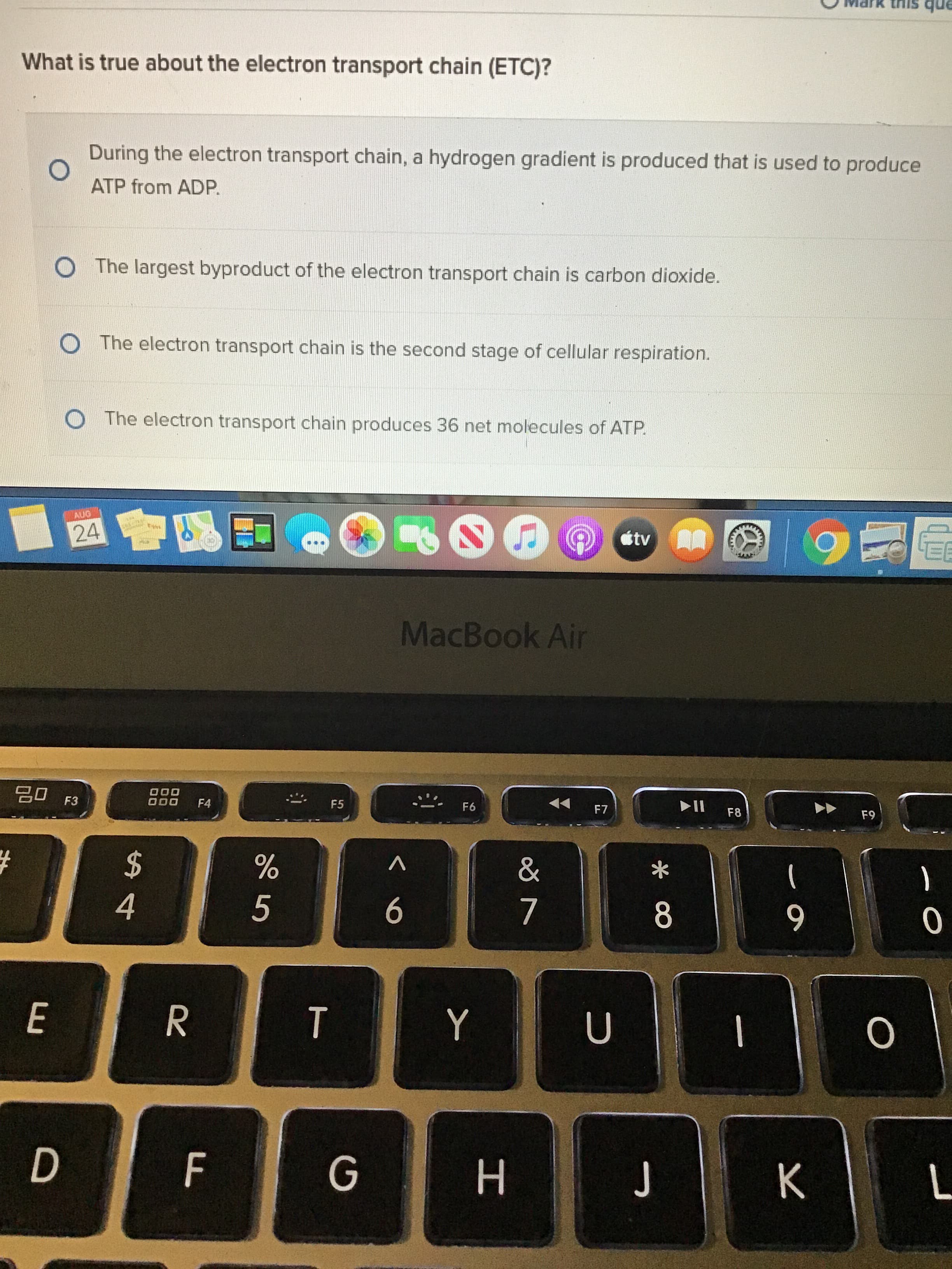 What is true about the electron transport chain (ETC)?
During the electron transport chain, a hydrogen gradient is produced that is used to produce
ATP from ADP.
The largest byproduct of the electron transport chain is carbon dioxide.
O The electron transport chain is the second stage of cellular respiration.
O The electron transport chain produces 36 net molecules of ATP.
