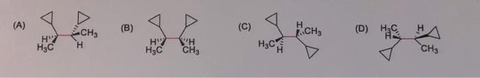 (A)
$
CH3
Н
(В)
H"
H C
YAH
CH3
(C)
H₂CH
CH3
(D) НАС НА
CH3