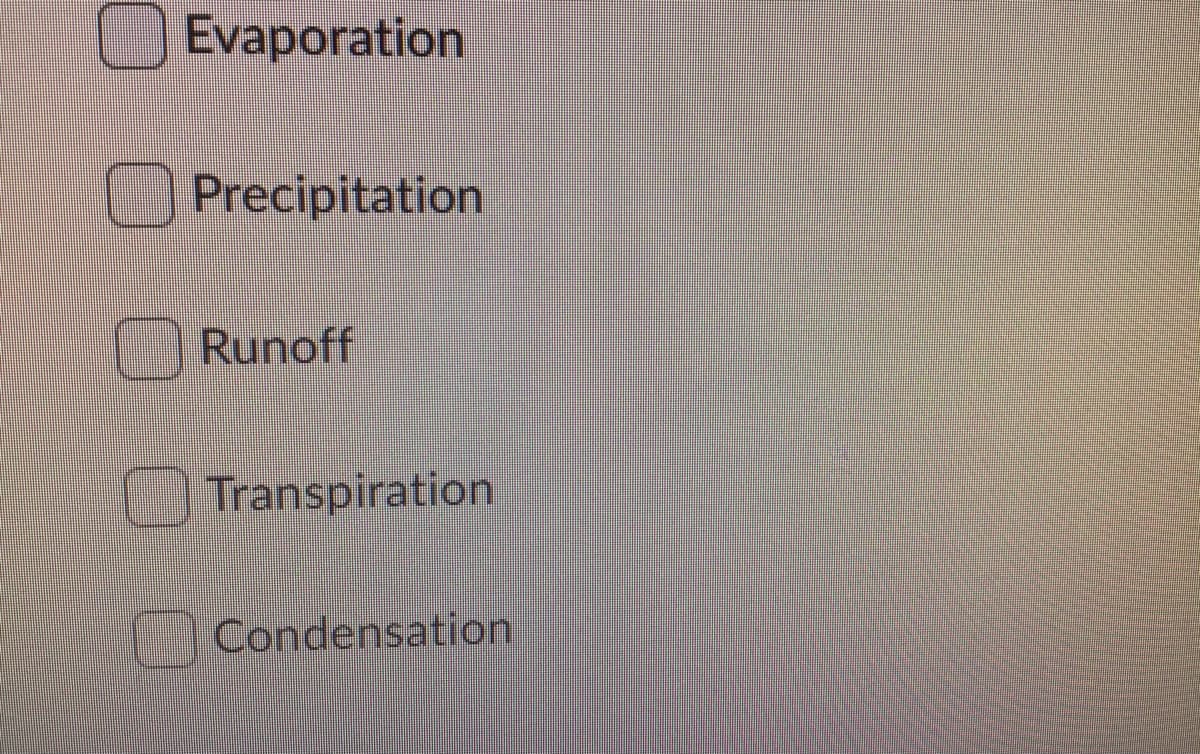 Evaporation
Precipitation
Runoff
Transpiration
Condensation
