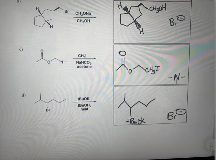 Br
CH,ONa
CH,OH
H.
H.
c)
CH3I
NaHCO3,
acetone
--
d)
1BUOH,
heat
Br
B
+Buck
19
