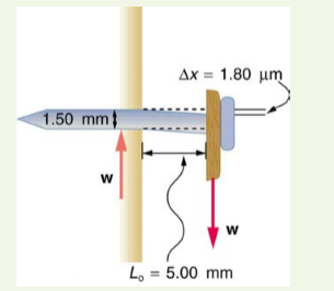 AX = 1.80 um
1.50 mm
Lo = 5.00 mm
