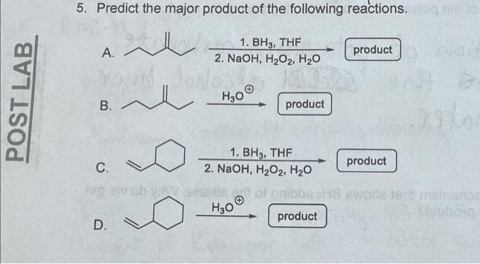 5. Predict the major product of the following reactions. oq o
1. ВНз, THF
2. NaOH, H2O2, H20
A.
product
H30
В.
product
1. ВНз, ТHF
2. NaOH, H2O2, H20
product
С.
Jag ew ob yW.challe
la of onibbs sH8 aworle tert
mairurbe
product
D. S
POST LAB
B.
