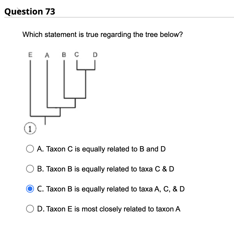 Question 73
Which statement is true regarding the tree below?
E
А в с
A
D
1.
A. Taxon C is equally related to B and D
B. Taxon B is equally related to taxa C & D
C. Taxon B is equally related to taxa A, C, & D
D. Taxon E is most closely related to taxon A
