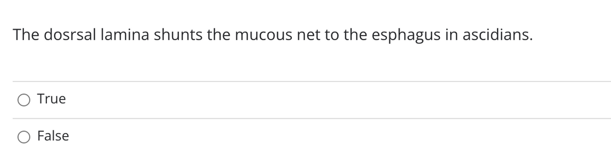 The dosrsal lamina shunts the mucous net to the esphagus in ascidians.
True
False
