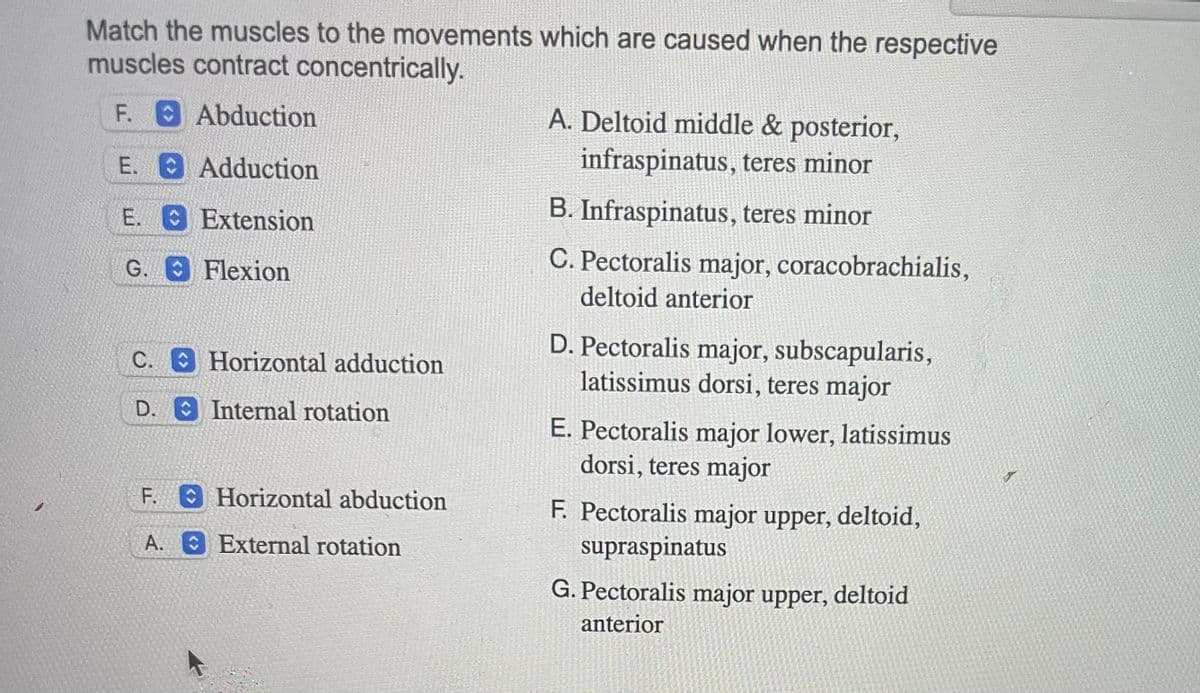 **Match the muscles to the movements caused when the respective muscles contract concentrically:**

1. **Abduction (F)**
   - **Muscles Involved:** 
     - Pectoralis major upper, deltoid, supraspinatus (F)

2. **Adduction (E)**
   - **Muscles Involved:** 
     - Pectoralis major lower, latissimus dorsi, teres major (E)

3. **Extension (E)**
   - **Muscles Involved:** 
     - Pectoralis major lower, latissimus dorsi, teres major (E)

4. **Flexion (G)**
   - **Muscles Involved:** 
     - Pectoralis major upper, deltoid anterior (G)

5. **Horizontal Adduction (C)**
   - **Muscles Involved:** 
     - Pectoralis major, coracobrachialis, deltoid anterior (C)

6. **Internal Rotation (D)**
   - **Muscles Involved:** 
     - Pectoralis major, subscapularis, latissimus dorsi, teres major (D)

7. **Horizontal Abduction (F)**
   - **Muscles Involved:** 
     - Pectoralis major upper, deltoid, supraspinatus (F)

8. **External Rotation (A)**
   - **Muscles Involved:** 
     - Deltoid middle & posterior, infraspinatus, teres minor (A)